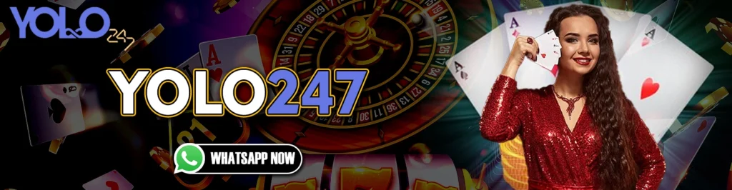 YOLO247
